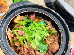 -原野牛肉岛