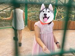 -杭州开元森泊度假乐园