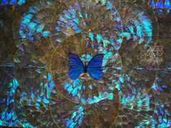 -上海昆虫博物馆