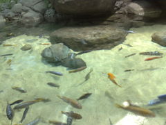 -上海海洋水族馆-停车场