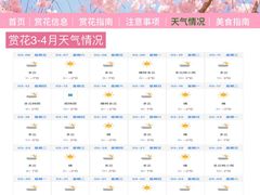 -日照海滨国家森林公园