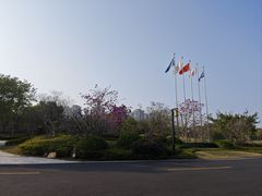 -五缘湾湿地公园