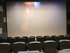 -奥斯卡国际影城(杜比全景声&4D激光店)