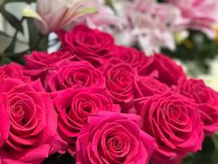 -双季花艺园艺市场(浦东店)