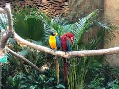 -杭州开元森泊度假乐园