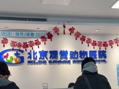 -北京观赏动物医院·24小时大型综合·猫专科·异宠专科