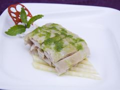 上海展白鸡-秦皇岛秦皇国际大酒店