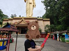 -西双版纳勐泐文化旅游区