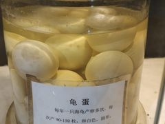 -广东惠东海龟国家级自然保护区
