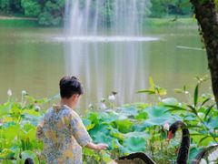 -福建鲤鱼洲酒店