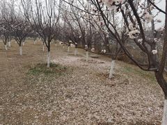 -太阳宫公园