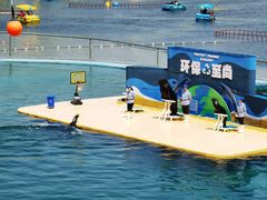 -秦皇岛乐岛海洋王国