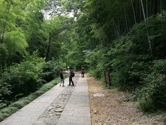 -上海佘山国家森林公园东门地面停车场