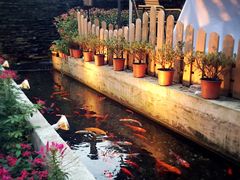 -老洋房花园饭店(绍兴路店)