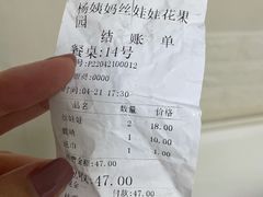 -杨姨妈丝娃娃(花果园店)