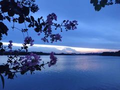 -松山湖南湖湾露营营地