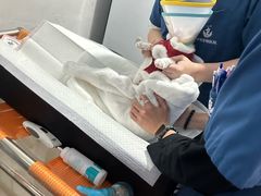 -申普宠物医院·眼科·心内科·影像科(普陀分院)