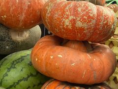 -新疆国际大巴扎