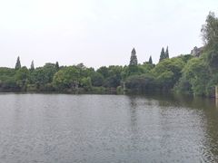 -雨湖公园
