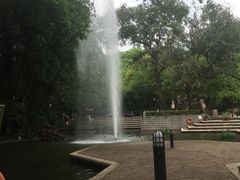-九龙公园