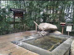 -观唐（国际）度假村温泉