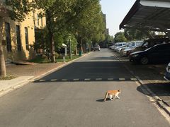 -漕河泾开发区松江名企产业园-停车场