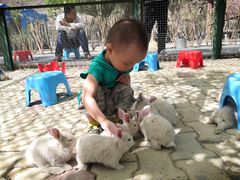 -新疆天山野生动物园