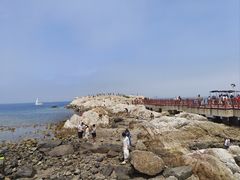 -养马岛旅游度假区