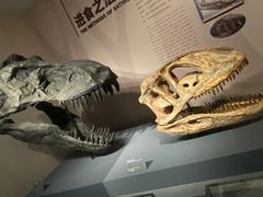 -自贡恐龙博物馆