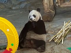 -海南热带野生动植物园