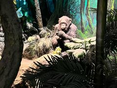 -国家自然博物馆