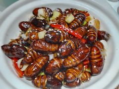 -东北大院·东北菜(三台子店)