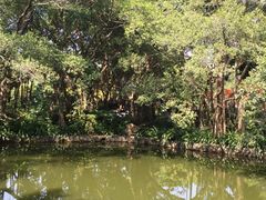 -人民公园(罗湖区)