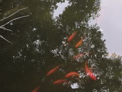 -苏州河梦清园环保主题公园