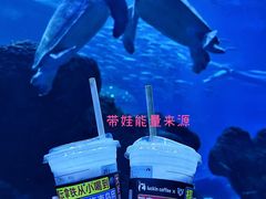 -成都浩海立方海洋公园