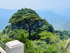 -圣莲山风景区