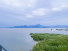 -杨记海鲜楼(三门黑金冠店)