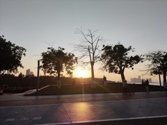 -万绿园