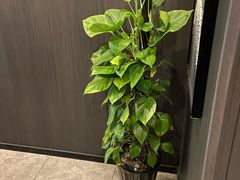 -鹿栖.精油SPA(金山世纪城店)