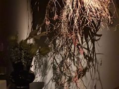 -安屿an·spa(卓悦中心商场店)