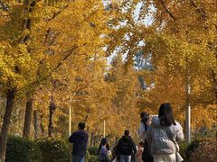 -白鹭湾湿地公园