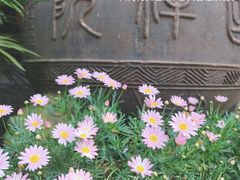 -峨眉山报国寺