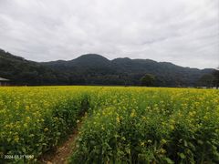 -广州市石门国家森林公园