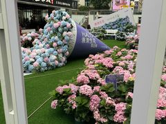 -HALO广场(梨园路店)