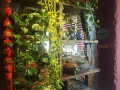 -大匠工房古船木艺术餐厅·猪肚鸡专门店(长白仙岛店)