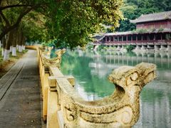 -温江公园
