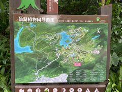 -深圳仙湖植物园