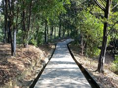 -火炉山森林公园