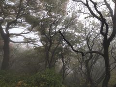 -尧山风景区