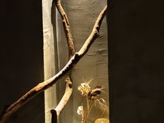 -森SPA·泰式按摩·精油Massage(宝安中心店)